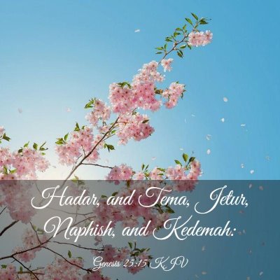 Picture 03 - Genesis 25:15 KJV - Hadar, and Tema, Jetur, Naphish, and - Bible Verse Picture