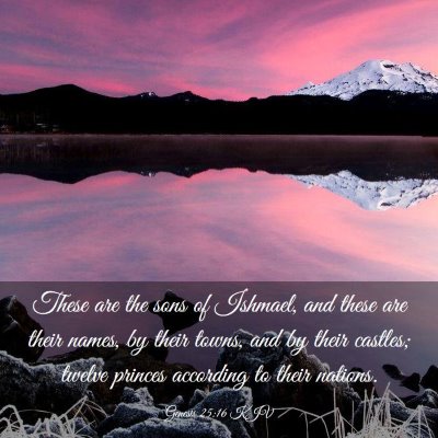 Picture 03 - Genesis 25:16 KJV - These are the sons of Ishmael, and these are - Bible Verse Picture