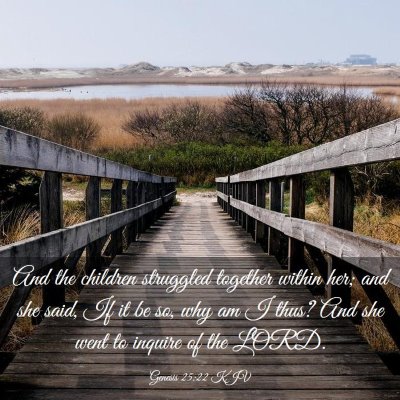 Picture 03 - Genesis 25:22 KJV - And the children struggled together within her; - Bible Verse Picture