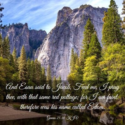 Picture 03 - Genesis 25:30 KJV - And Esau said to Jacob, Feed me, I pray thee, - Bible Verse Picture