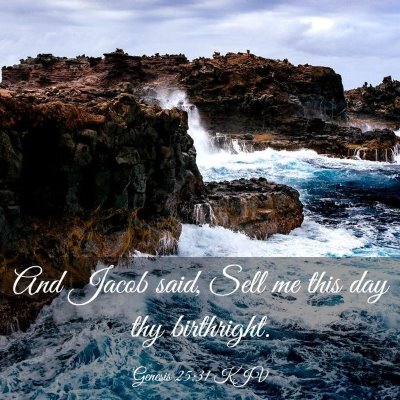 Picture 03 - Genesis 25:31 KJV - And Jacob said, Sell me this day thy - Bible Verse Picture