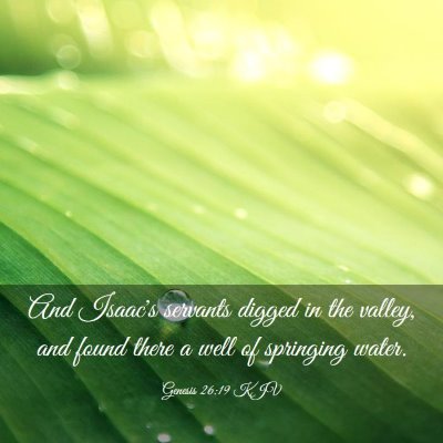 Picture 03 - Genesis 26:19 KJV - And Isaac's servants digged in the valley, and - Bible Verse Picture
