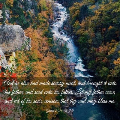 Picture 03 - Genesis 27:31 KJV - And he also had made savory meat, and brought it - Bible Verse Picture