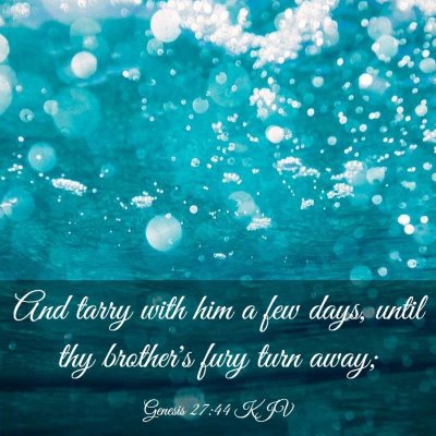 Picture 03 - Genesis 27:44 KJV - And tarry with him a few days, until thy - Bible Verse Picture