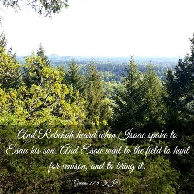 Picture 03 - Genesis 27:5 KJV - And Rebekah heard when Isaac spake to Esau his - Bible Verse Picture
