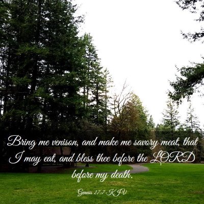 Picture 03 - Genesis 27:7 KJV - Bring me venison, and make me savory meat, that I - Bible Verse Picture