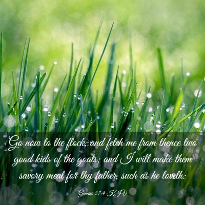 Picture 03 - Genesis 27:9 KJV - Go now to the flock, and fetch me from thence two - Bible Verse Picture