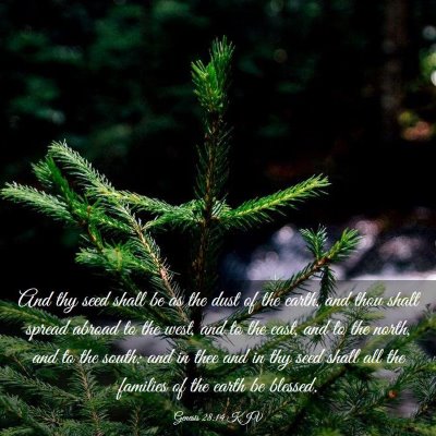 Picture 03 - Genesis 28:14 KJV - And thy seed shall be as the dust of the earth, - Bible Verse Picture