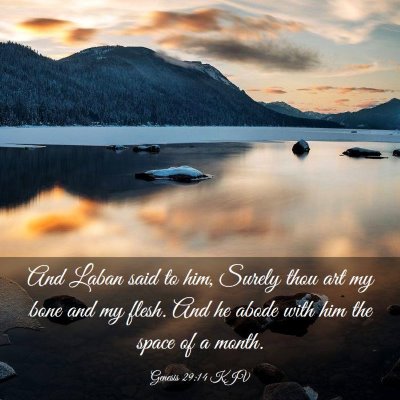 Picture 03 - Genesis 29:14 KJV - And Laban said to him, Surely thou art my bone - Bible Verse Picture
