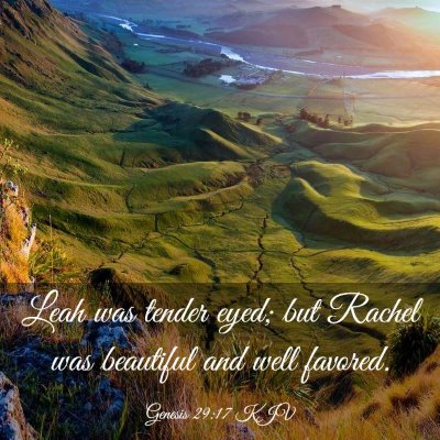 Picture 03 - Genesis 29:17 KJV - Leah was tender eyed; but Rachel was beautiful - Bible Verse Picture