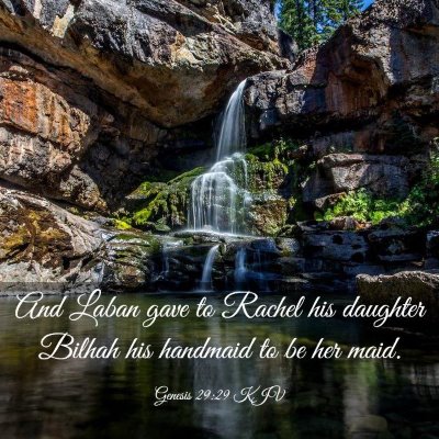 Picture 03 - Genesis 29:29 KJV - And Laban gave to Rachel his daughter Bilhah his - Bible Verse Picture