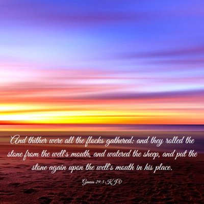 Picture 03 - Genesis 29:3 KJV - And thither were all the flocks gathered: and - Bible Verse Picture