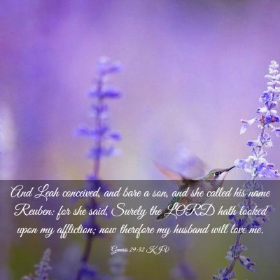 Picture 03 - Genesis 29:32 KJV - And Leah conceived, and bare a son, and she - Bible Verse Picture