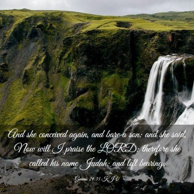 Picture 03 - Genesis 29:35 KJV - And she conceived again, and bare a son: and she - Bible Verse Picture