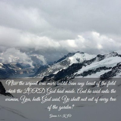 Picture 03 - Genesis 3:1 KJV - Now the serpent was more subtil than any beast of - Bible Verse Picture