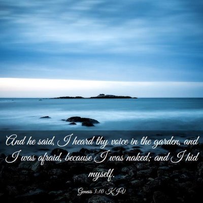 Picture 03 - Genesis 3:10 KJV - And he said, I heard thy voice in the garden, and - Bible Verse Picture