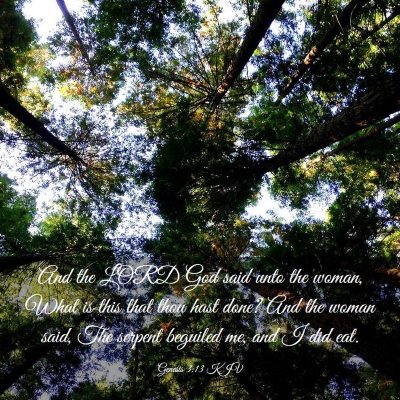 Picture 03 - Genesis 3:13 KJV - And the LORD God said unto the woman, What is - Bible Verse Picture