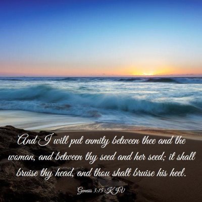 Picture 03 - Genesis 3:15 KJV - And I will put enmity between thee and the woman, - Bible Verse Picture