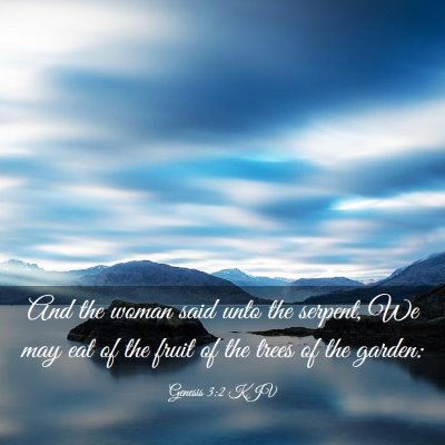 Picture 03 - Genesis 3:2 KJV - And the woman said unto the serpent, We may eat - Bible Verse Picture