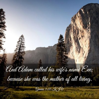 Picture 03 - Genesis 3:20 KJV - And Adam called his wife's name Eve; because she - Bible Verse Picture