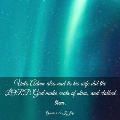 Picture 03 - Genesis 3:21 KJV - Unto Adam also and to his wife did the LORD God - Bible Verse Picture