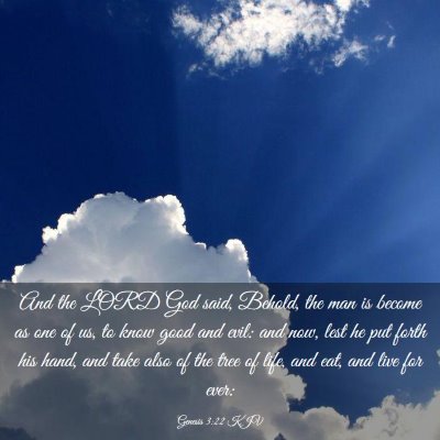 Picture 03 - Genesis 3:22 KJV - And the LORD God said, Behold, the man is become - Bible Verse Picture