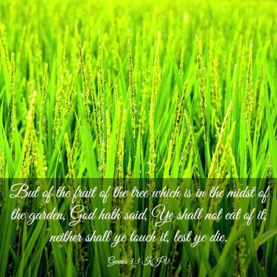 Picture 03 - Genesis 3:3 KJV - But of the fruit of the tree which is in the - Bible Verse Picture