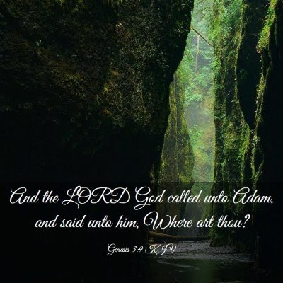 Picture 03 - Genesis 3:9 KJV - And the LORD God called unto Adam, and said unto - Bible Verse Picture