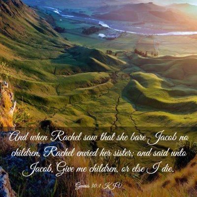 Picture 03 - Genesis 30:1 KJV - And when Rachel saw that she bare Jacob no - Bible Verse Picture