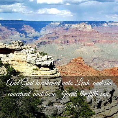 Picture 03 - Genesis 30:17 KJV - And God hearkened unto Leah, and she conceived, - Bible Verse Picture