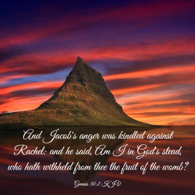 Picture 03 - Genesis 30:2 KJV - And Jacob's anger was kindled against Rachel: and - Bible Verse Picture