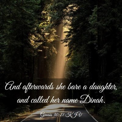 Picture 03 - Genesis 30:21 KJV - And afterwards she bare a daughter, and called - Bible Verse Picture