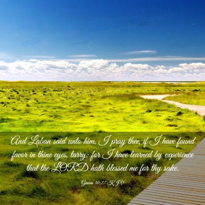 Picture 03 - Genesis 30:27 KJV - And Laban said unto him, I pray thee, if I have - Bible Verse Picture