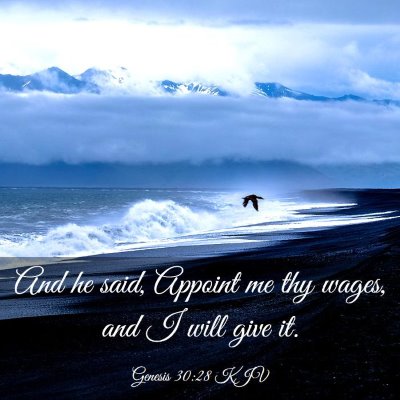 Picture 03 - Genesis 30:28 KJV - And he said, Appoint me thy wages, and I will - Bible Verse Picture