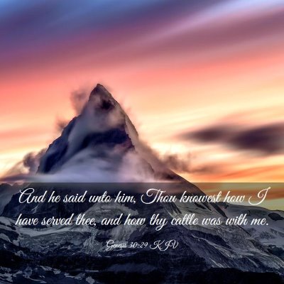 Picture 03 - Genesis 30:29 KJV - And he said unto him, Thou knowest how I have - Bible Verse Picture