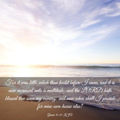 Picture 03 - Genesis 30:30 KJV - For it was little which thou hadst before I came, - Bible Verse Picture