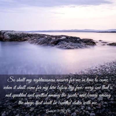Picture 03 - Genesis 30:33 KJV - So shall my righteousness answer for me in time - Bible Verse Picture