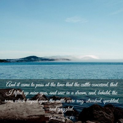 Picture 03 - Genesis 31:10 KJV - And it came to pass at the time that the cattle - Bible Verse Picture