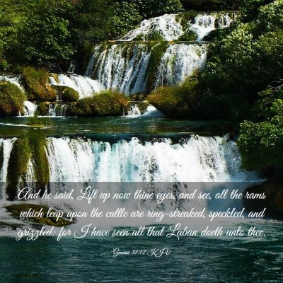Picture 03 - Genesis 31:12 KJV - And he said, Lift up now thine eyes, and see, all - Bible Verse Picture