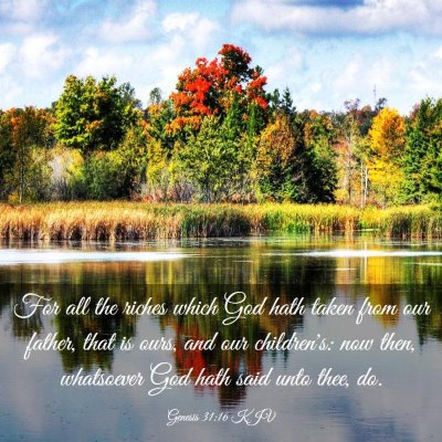 Picture 03 - Genesis 31:16 KJV - For all the riches which God hath taken from our - Bible Verse Picture