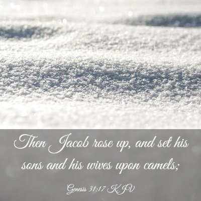 Picture 03 - Genesis 31:17 KJV - Then Jacob rose up, and set his sons and his - Bible Verse Picture
