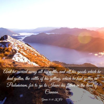 Picture 03 - Genesis 31:18 KJV - And he carried away all his cattle, and all his - Bible Verse Picture