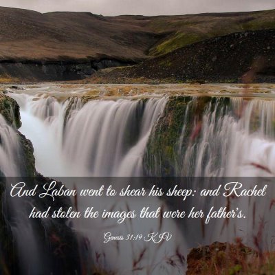 Picture 03 - Genesis 31:19 KJV - And Laban went to shear his sheep: and Rachel had - Bible Verse Picture