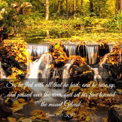 Picture 03 - Genesis 31:21 KJV - So he fled with all that he had; and he rose up, - Bible Verse Picture