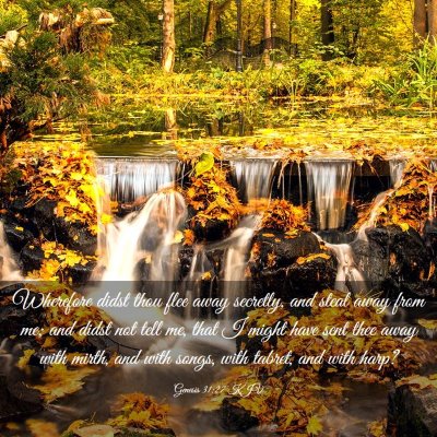 Picture 03 - Genesis 31:27 KJV - Wherefore didst thou flee away secretly, and - Bible Verse Picture