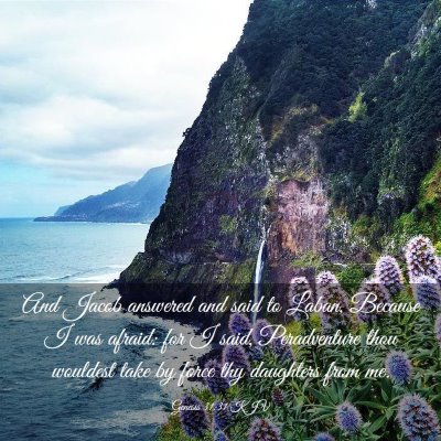 Picture 03 - Genesis 31:31 KJV - And Jacob answered and said to Laban, Because I - Bible Verse Picture