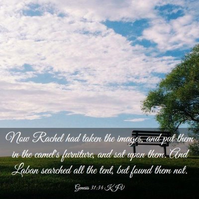 Picture 03 - Genesis 31:34 KJV - Now Rachel had taken the images, and put them in - Bible Verse Picture