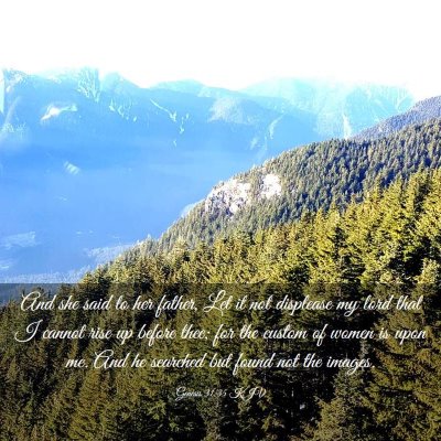 Picture 03 - Genesis 31:35 KJV - And she said to her father, Let it not displease - Bible Verse Picture