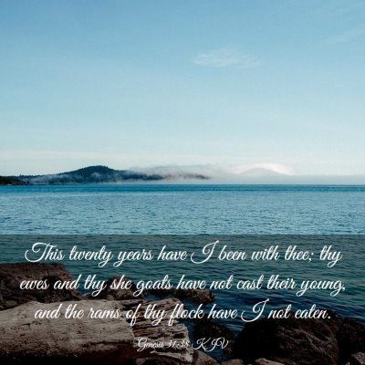 Picture 03 - Genesis 31:38 KJV - This twenty years have I been with thee; thy ewes - Bible Verse Picture