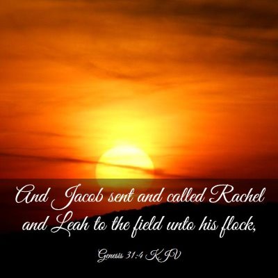 Picture 03 - Genesis 31:4 KJV - And Jacob sent and called Rachel and Leah to the - Bible Verse Picture